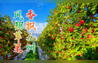 聚焦新質生產力 亮出“寶農優品”！寶雞市精心籌備第三十二屆楊凌農高會