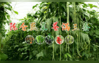 聚焦新質生產力 亮出“寶農優品”！寶雞市精心籌備第三十二屆楊凌農高會