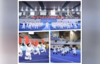 精英云集 武动龙湖！2025年“龙湖杯”广东省南拳太极拳精英赛圆满举行