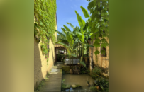 雪峤大师塔卓立云门 | 吴越黄檗踪迹