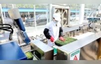 在铜山,尝一口“ 清水豆芽 ” ！