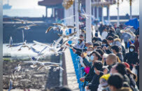 一起玩转山海 定格属于你的青岛记忆