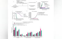 肿瘤免疫治疗迎来重大突破，阿兹夫定联合PD-1疗效再获验证