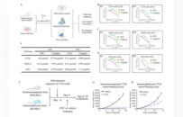 肿瘤免疫治疗迎来重大突破，阿兹夫定联合PD-1疗效再获验证