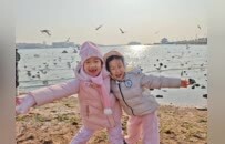 赴冬日之约 护海鸥翩跹