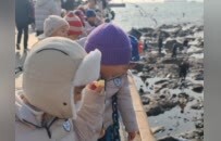 赴冬日之约 护海鸥翩跹