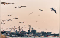 �ൺʮ������򿨵��Ƽ� ���������޶��Ŀ���