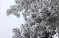千峰裹银装 众多游客登上饶灵山景区赏雪