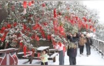 千峰裹银装 众多游客登上饶灵山景区赏雪