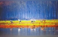 駐馬店，憑啥這么“中”？