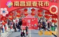 2026南昌迎春花市火爆开市，2月8日到15日相约九洲公园