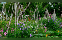 手把手教你“违法浪漫”？起底情人节现金花束背后的法律暗雷