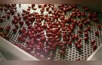 新豫商为啥刷屏全国？