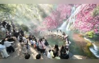 别问了！清明小长假，栾川人山人海的秘密全在这里