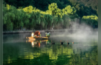 春和景明，万物皆显，栾川踏青正当时！