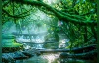 别问了！清明小长假，栾川人山人海的秘密全在这里