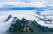 春和景明，万物皆显，栾川踏青正当时！