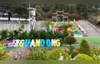 春和景明，万物皆显，栾川踏青正当时！