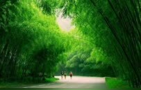 这份保姆级打卡攻略，带你玩转重渡沟向往的生活！