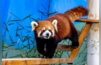 周末出逃计划！来这里就对了