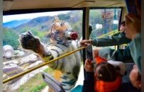 周末出逃计划！来这里就对了