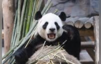 周末出逃计划！来这里就对了