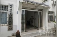 轰隆一声！南昌暴雨过后一棵行道树“躺平” 砸中路边汽车