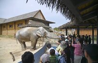 這個國慶黃金周，徐州市文廣旅局邀您這樣玩