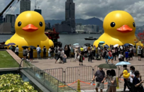 回来啦！“周一上班鸭”