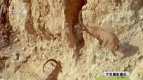 2016-05-17自然传奇 同门之争