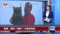 英国：留欧？脱欧？小猪来预测