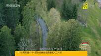《极速前进》接档《年代秀》刘翔郭晶晶极速来袭
