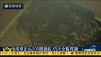 江苏南京一非法养殖场逾200条眼镜蛇走失