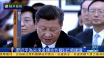 习近平：金砖国家合作十年磨一剑