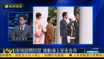 宋忠平：安倍对亚太4国施甜头 推进海上合作