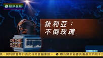2017-01-21记者再报告 叙利亚：不倒玫瑰