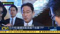 日本外相称将继续说服美国不放弃TPP