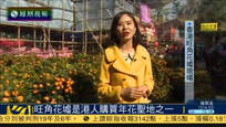 香港市民农历新年购年花 金桔等品种受欢迎