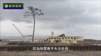 2017-03-18皇牌大放送 重生之路——日本311大地震六年纪