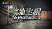 2017-06-03皇牌大放送 落地生根——变化中的美国移民面孔