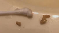 视频:看牛人快速v视频星球大战视频隼短剧英文千年图片