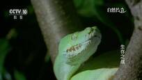 2015-09-18自然传奇 生存之战