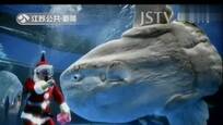 葡萄牙现5米巨型翻车鱼 丑萌外貌走红网络