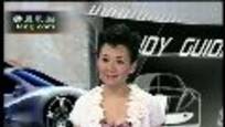 2009-03-27车元素 小型车与大豪华