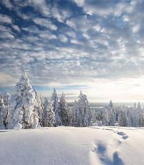 920134d773c3e95_w600_h400.jpg