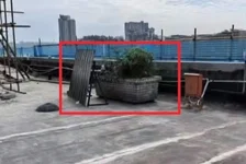 “花坛白骨案”告破