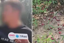 小区敌敌畏喷果子居民误食
