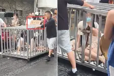 两女子被关笼子游街