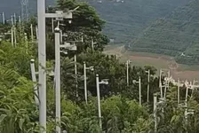 湖北一果园里立满监控