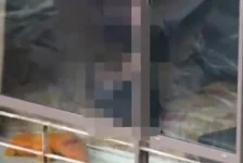 女子不满邻居在家一丝不挂